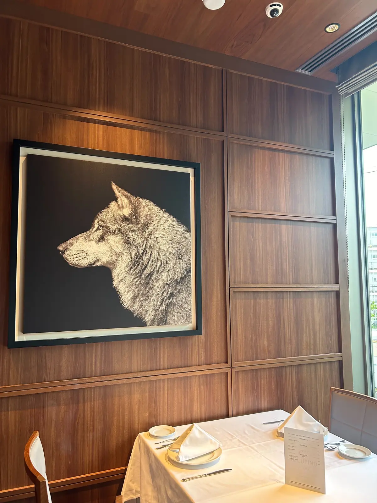 ジレを着て一足お先にhappyHalloの画像_3