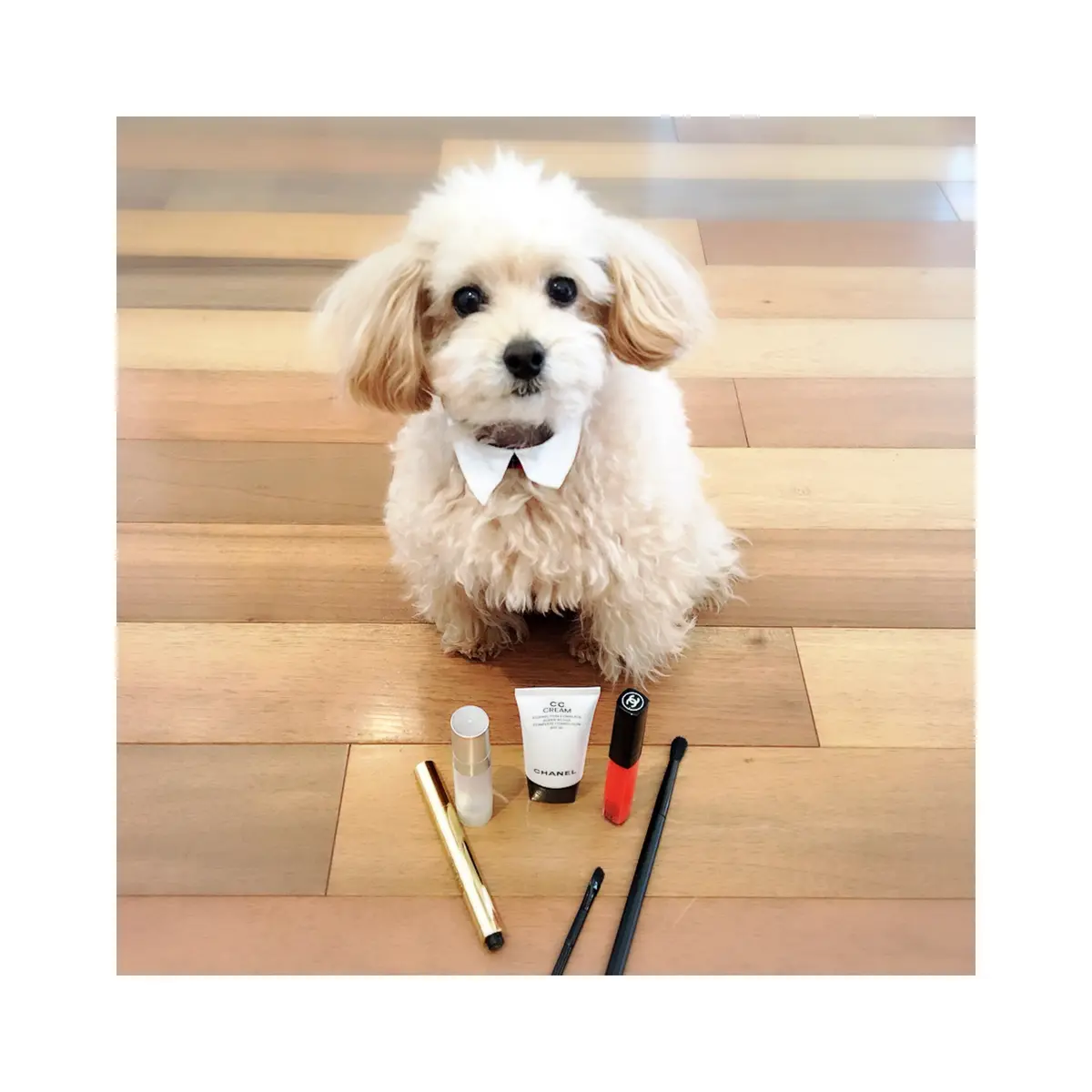 美肌道の画像_5