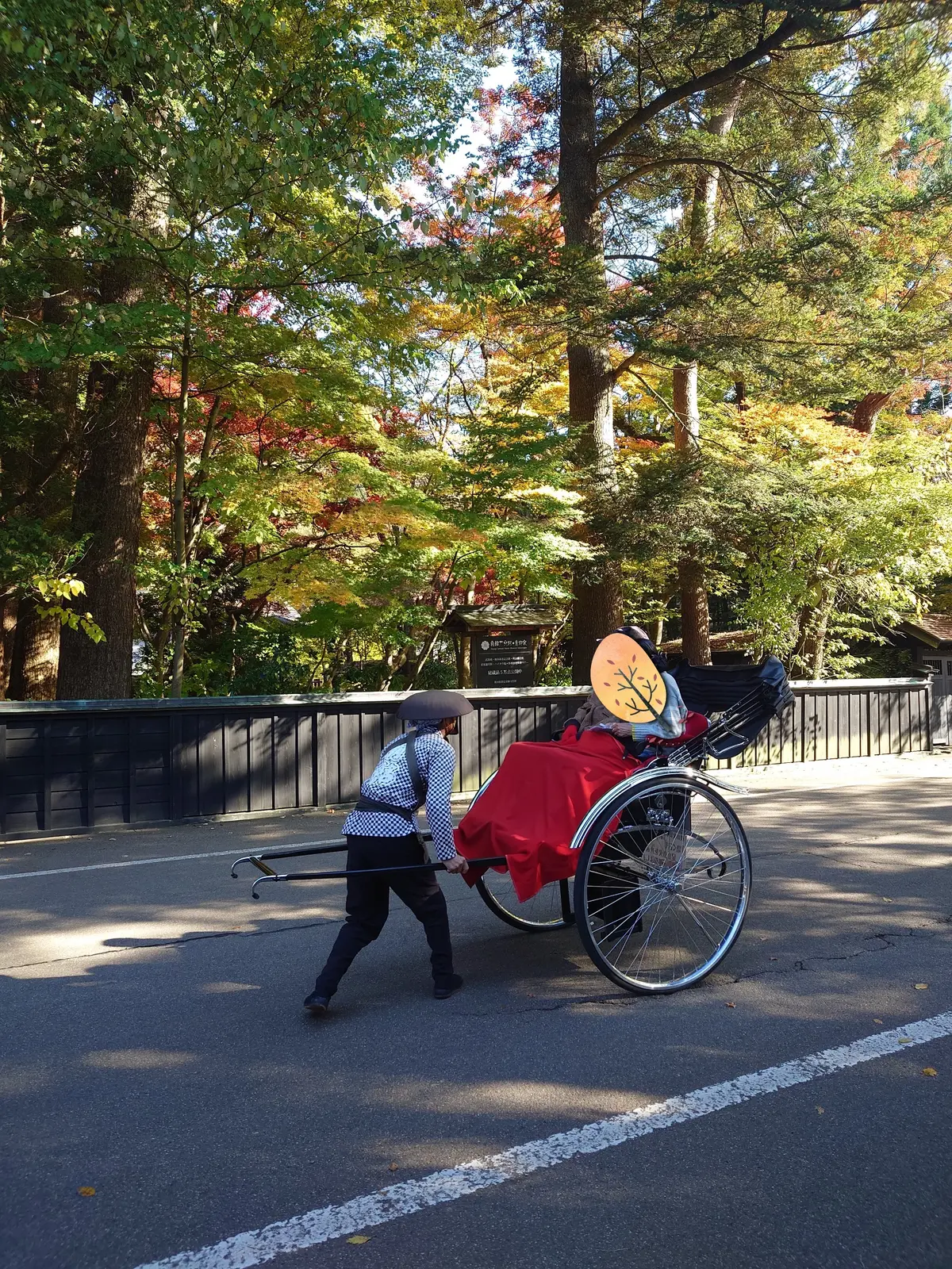 武家屋敷通りの人力車
