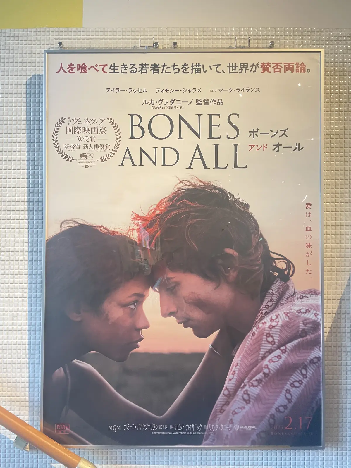 ルカ・グァダニーノ　ティモシー・シャラメ　ボーンズアンドオール　君の名前で僕を呼んで