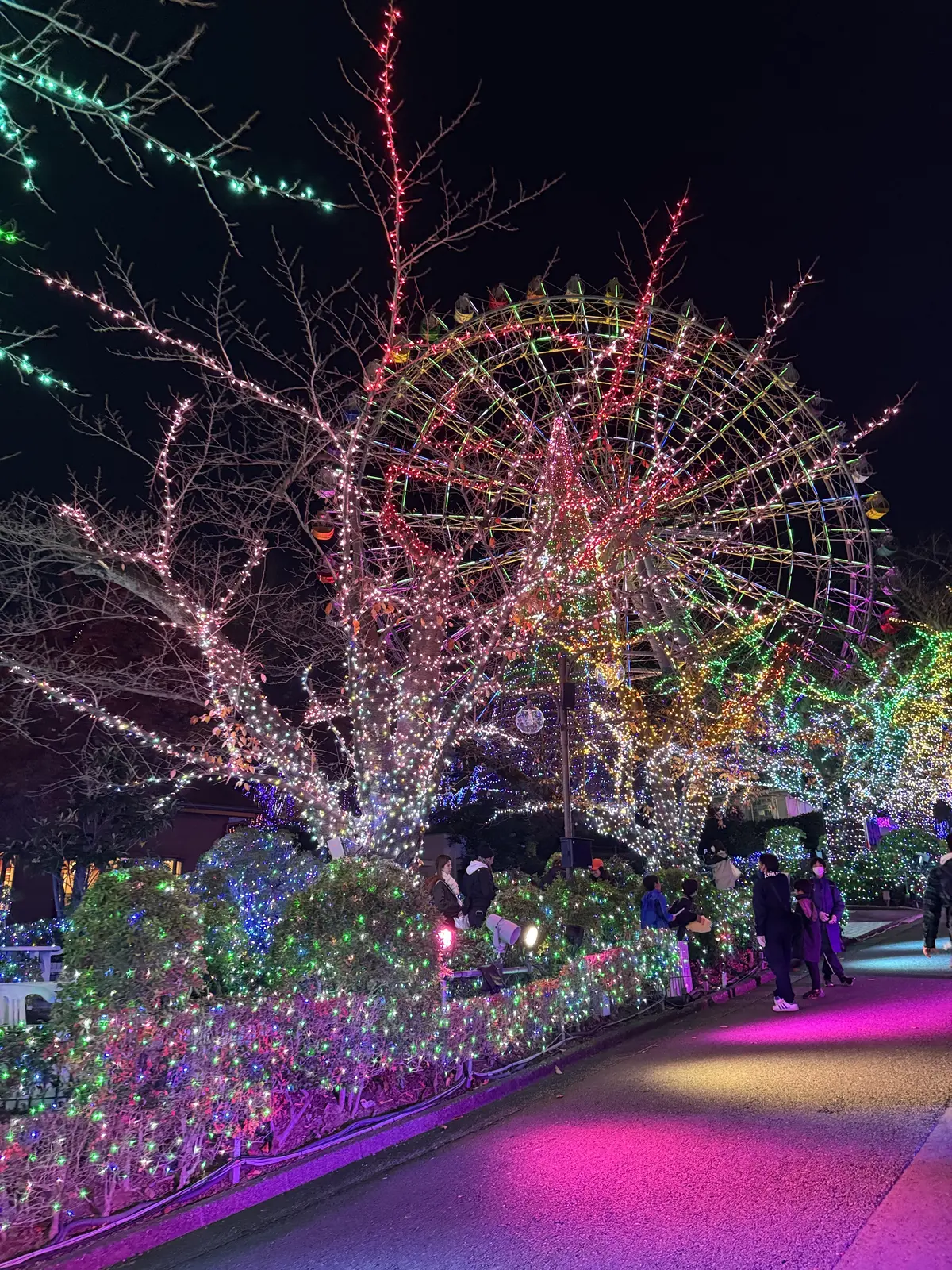 この冬見たい、心に残る東京イルミネーショの画像_10