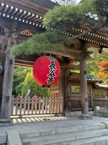 鎌倉紫陽花と続・続・最後から二番目の恋ロの画像_1