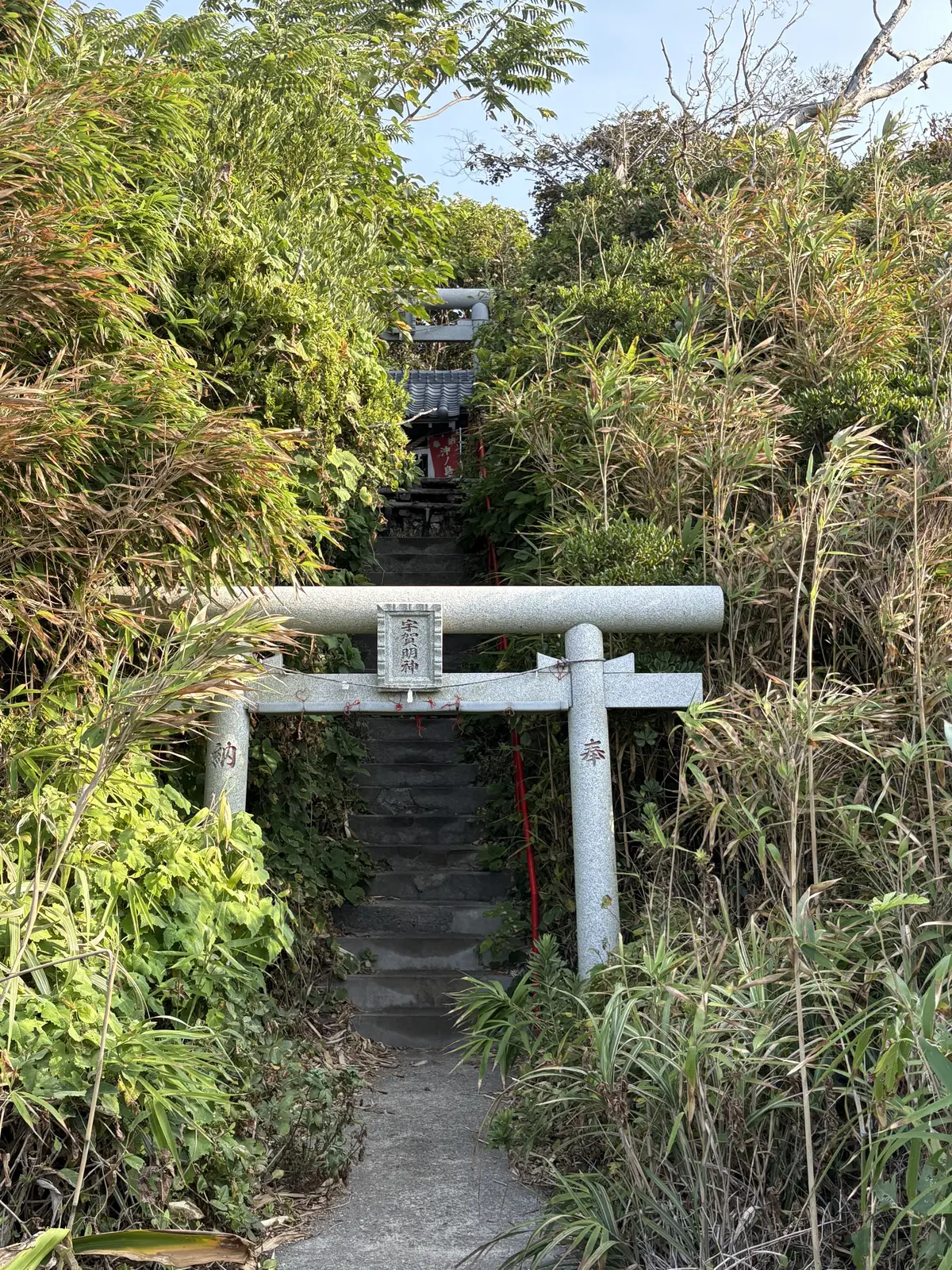 館山　千葉　夏休み　夫婦旅行