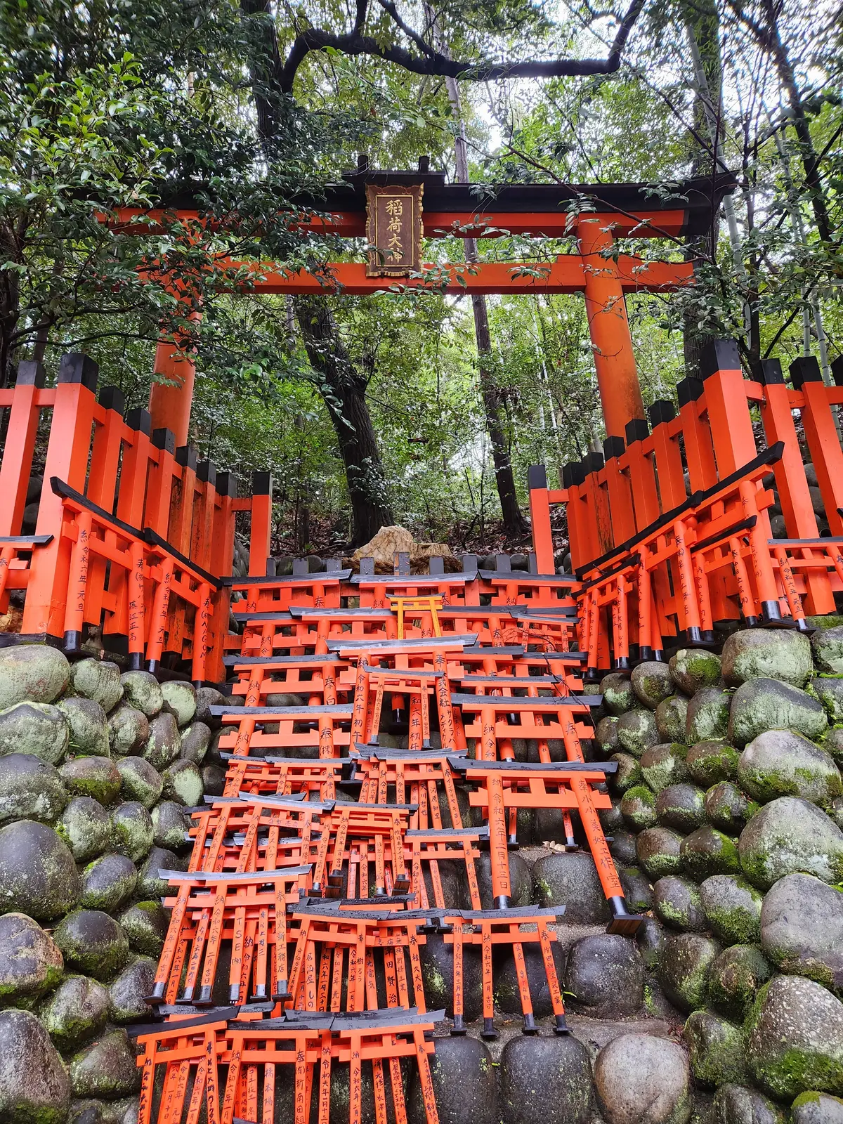 鳥居鳥居鳥居！