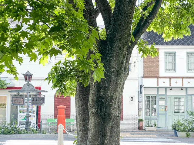 【旅するさかぽん】恋するレトロなソーダ🫧の画像_6