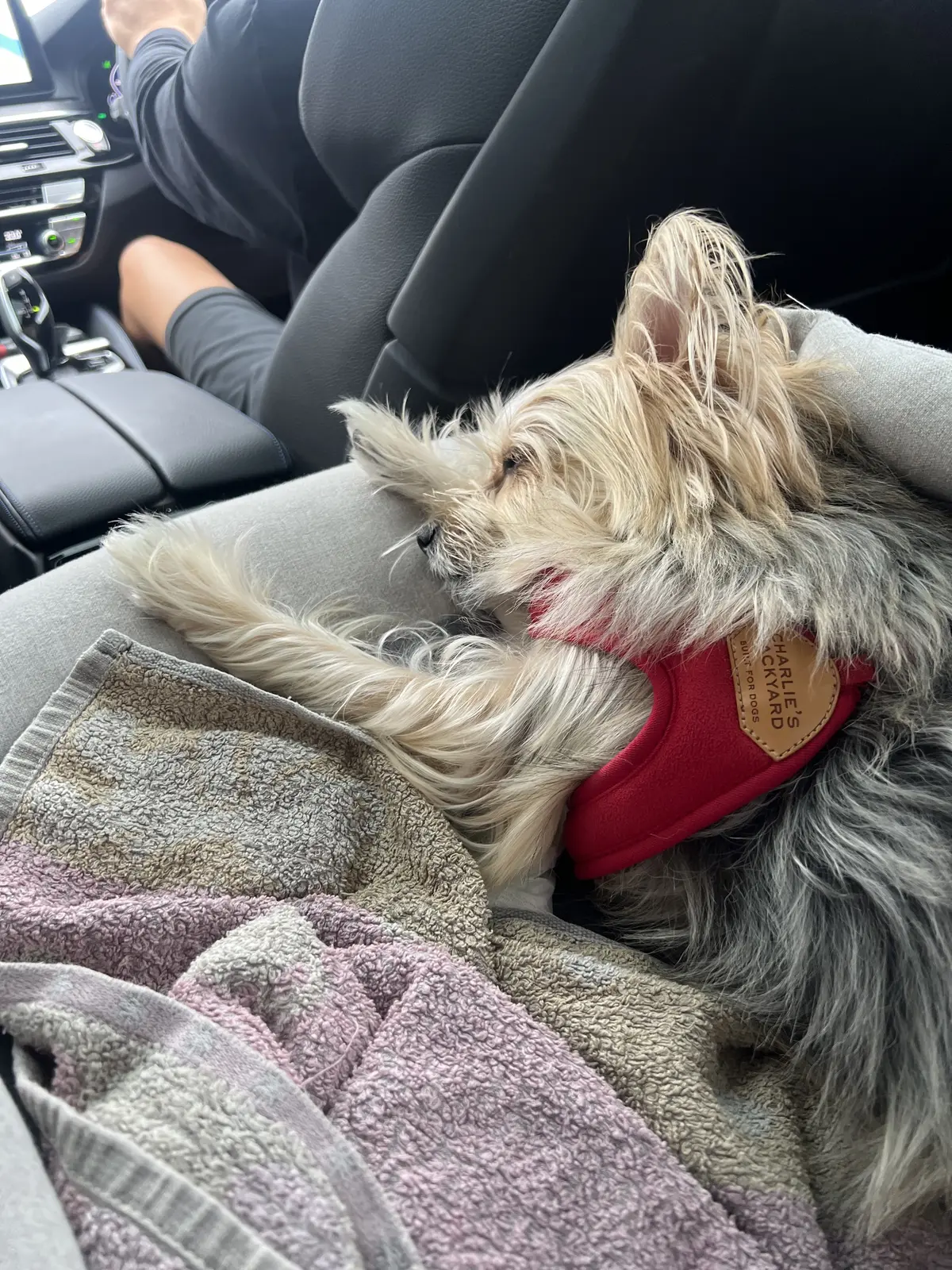 車に乗るとすぐにねてくれました寝てくれました！