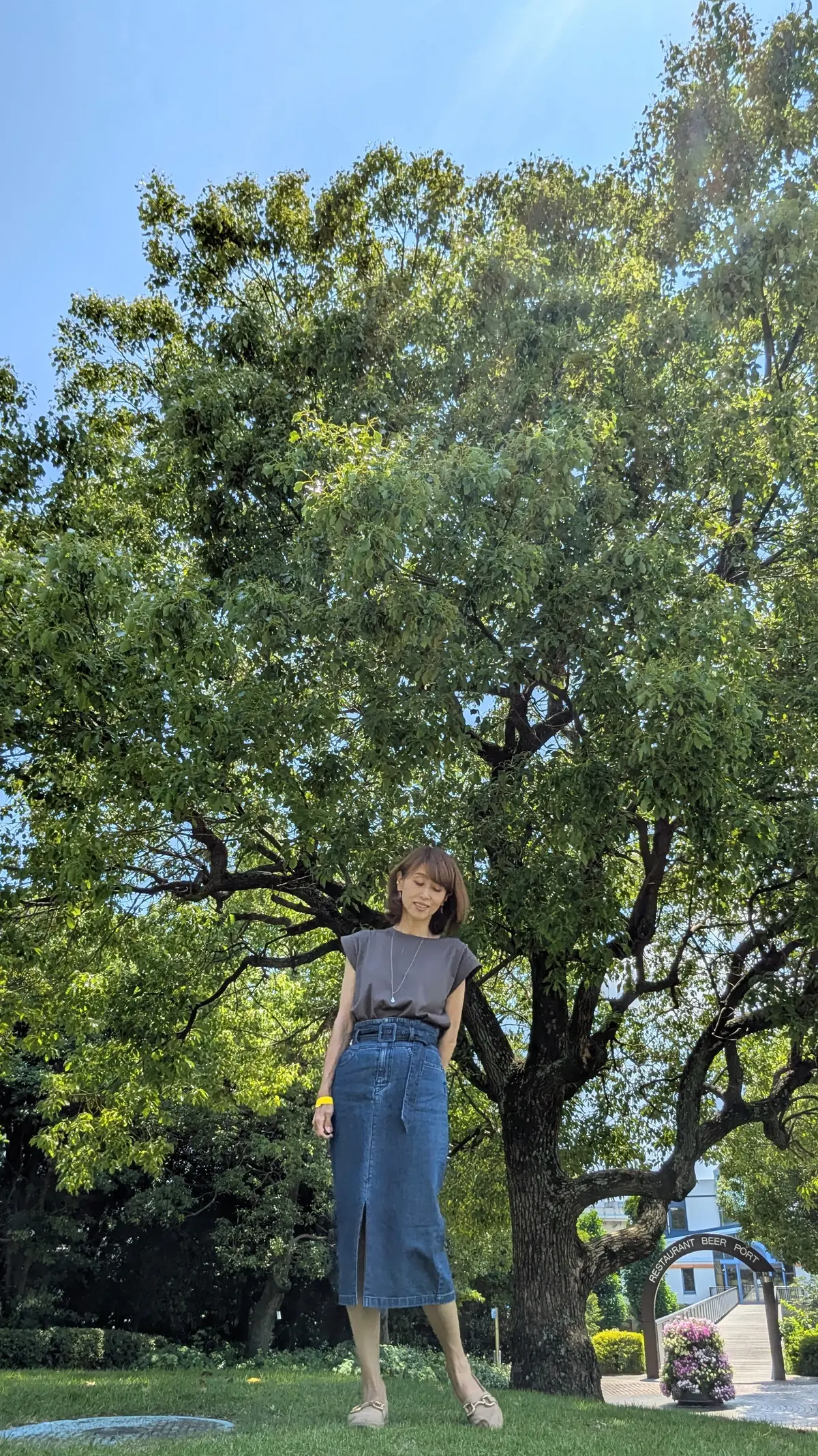 工場敷地内の大きな木