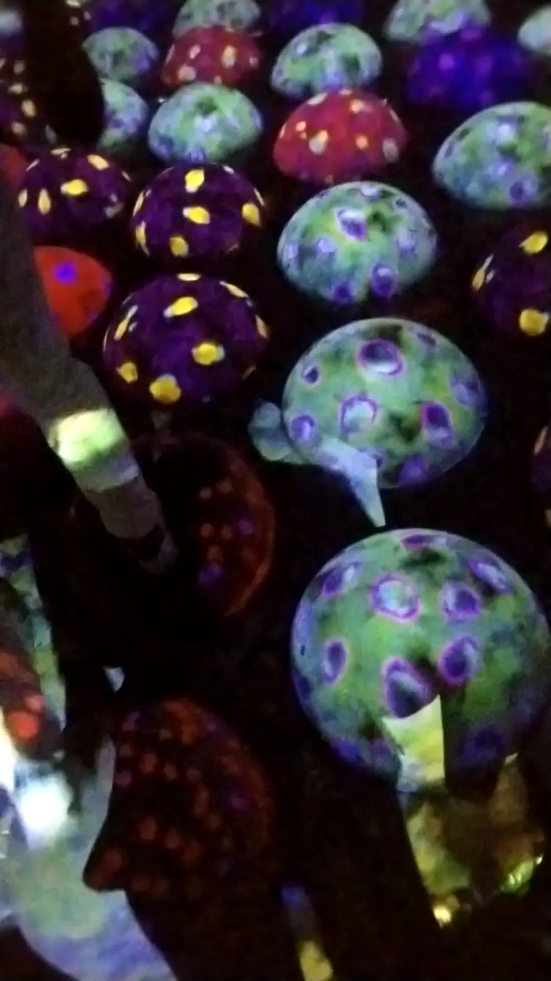 夏の日帰り旅♡早朝出発、深夜帰宅で広島かの画像_11