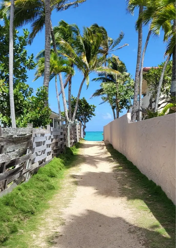 【Hawaii 2025】お出かけスポッの画像_8