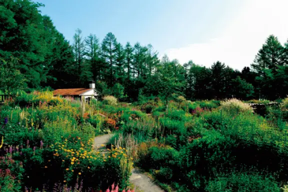 センスがいい花好きがレコメンド“日本全国の画像_8