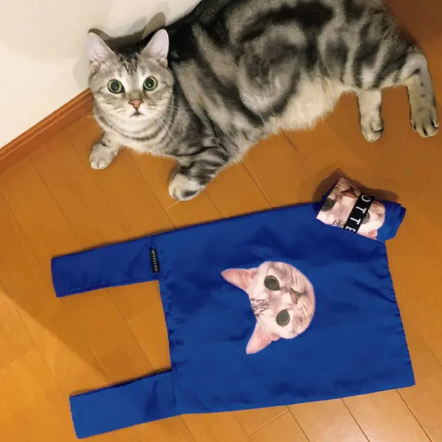 愛猫をプリントしたエコバッグ