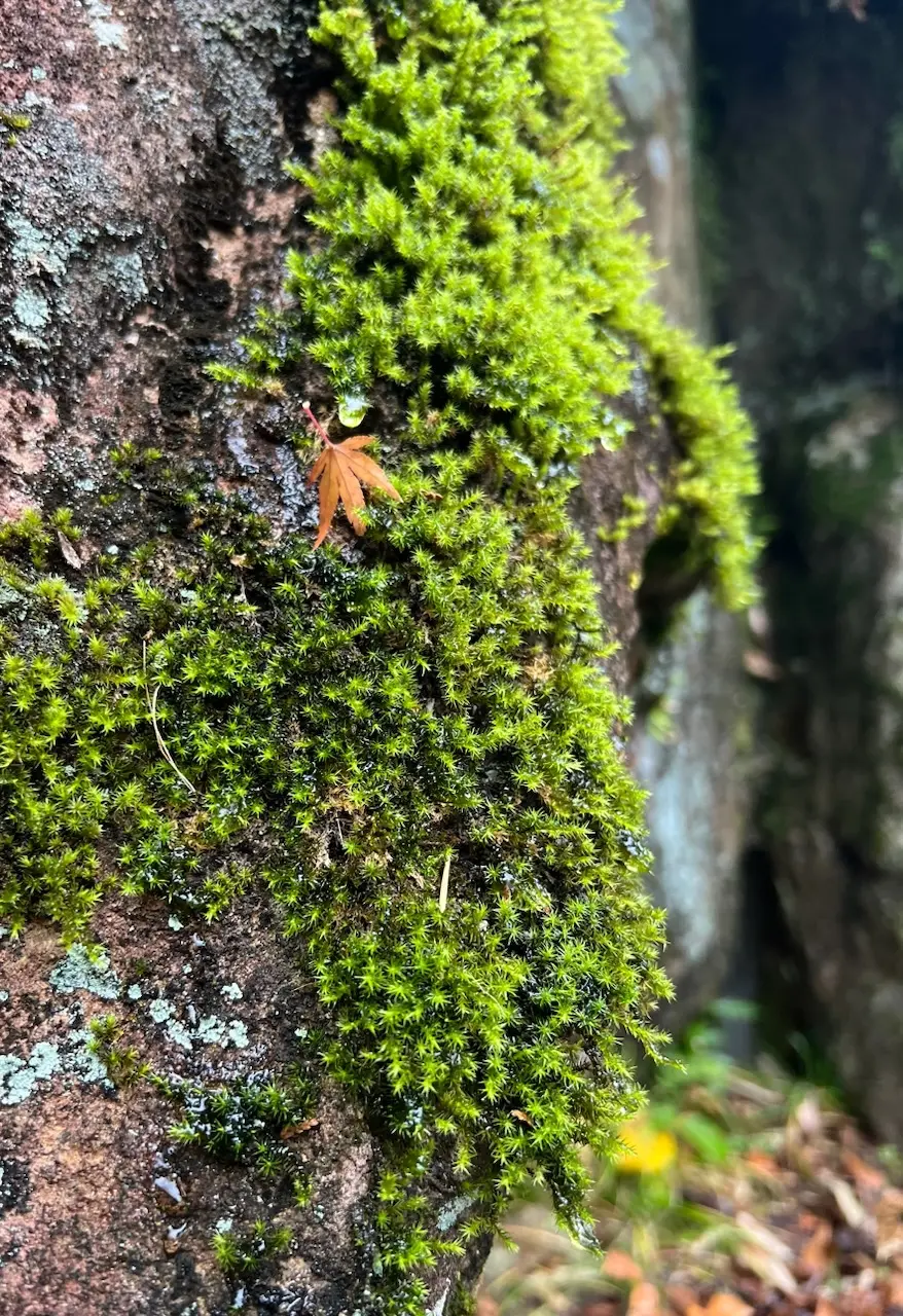 ドライブ女子旅♡雨の箱根美術館の画像_23