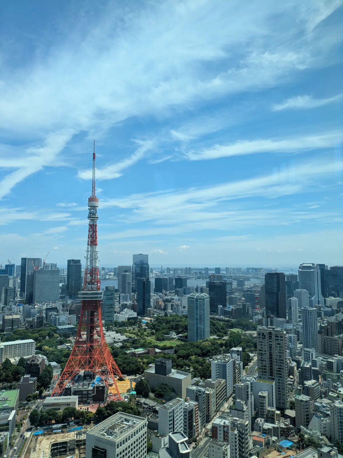 カジュアルを格上げ！レアな柄の【LEONの画像_7