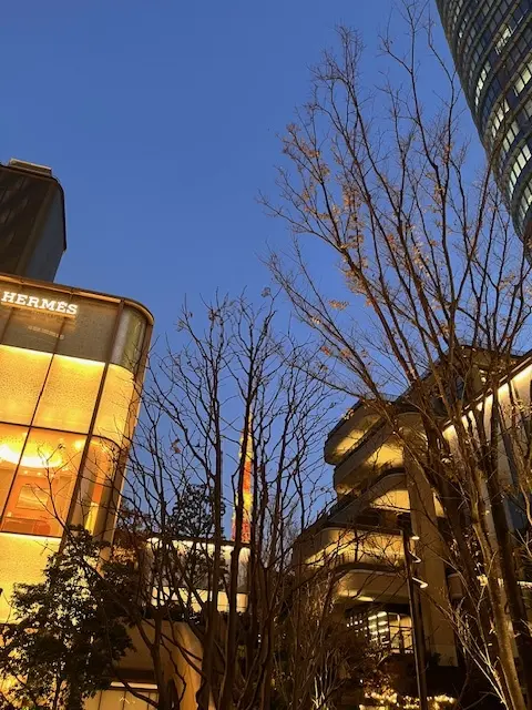 麻布台ヒルズクリスマスマーケットへの画像_3