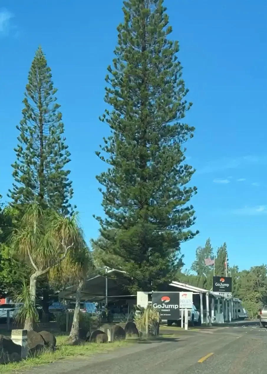 ハワイで念願のスカイダイビングに挑戦！！の画像_2