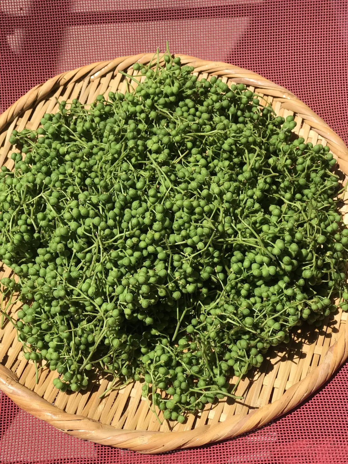 ぶどう山椒の手仕事の画像_1