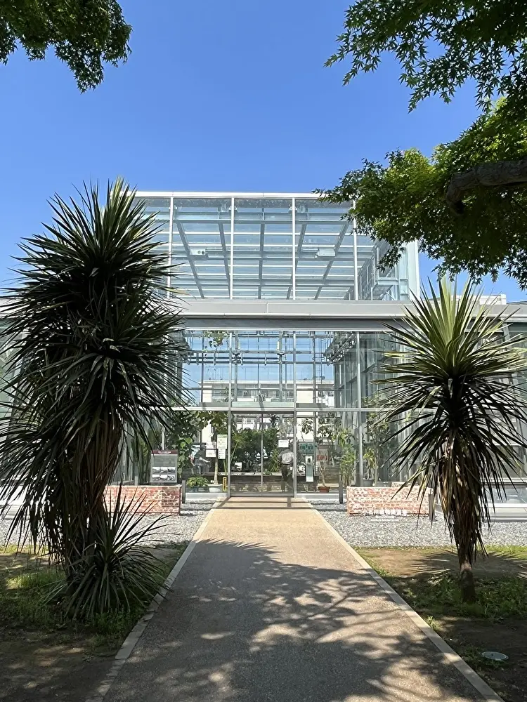 新緑の小石川植物園への画像_3