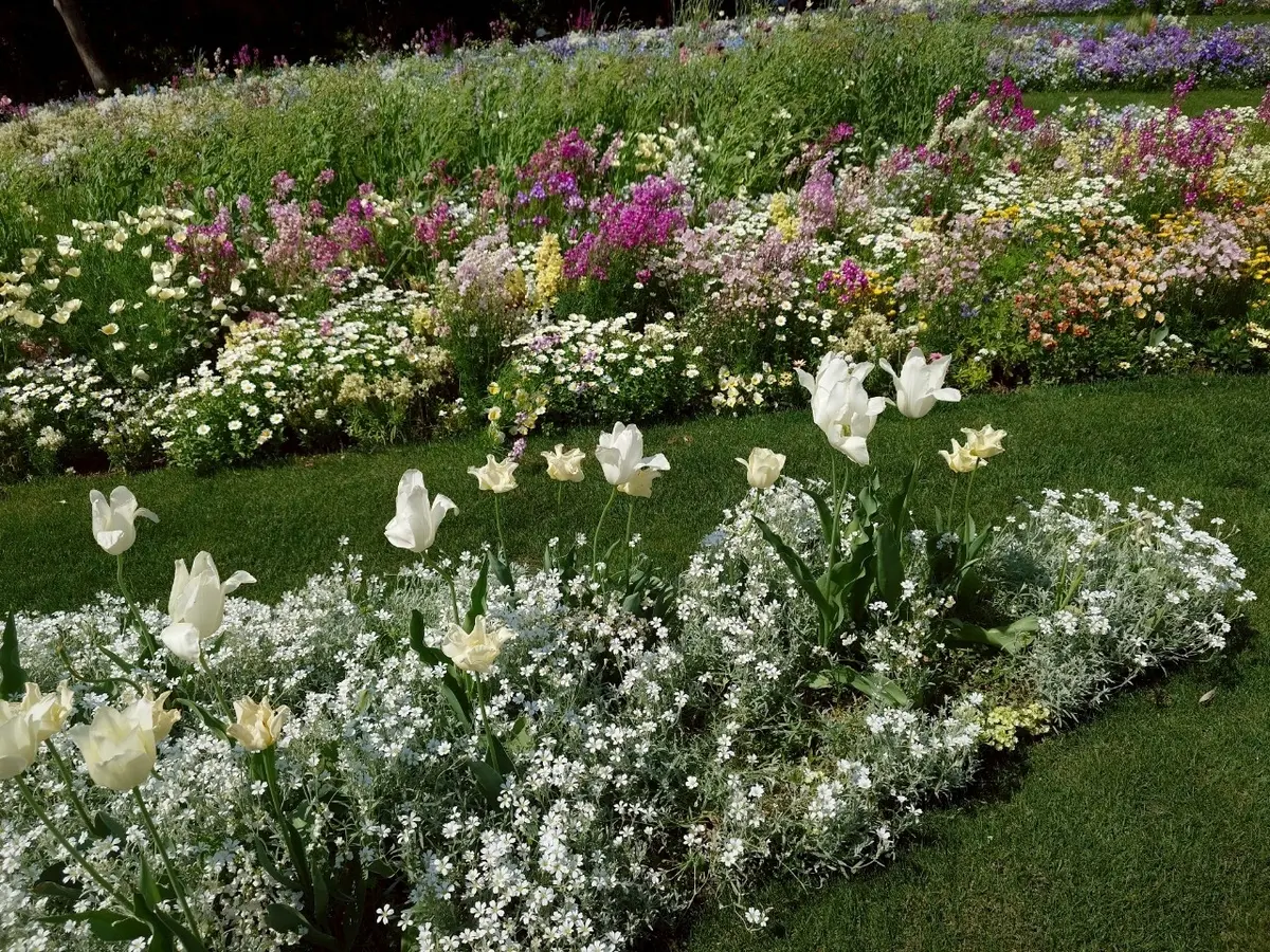 里山ガーデンフェスタ