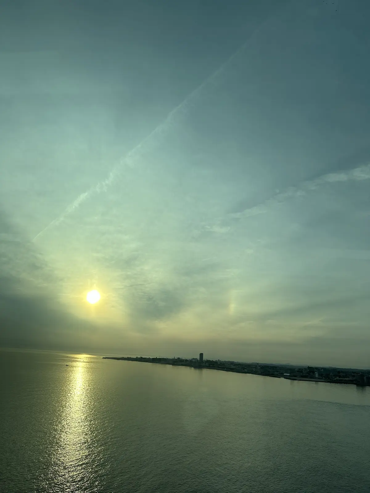 Calendula Tour！の画像_15