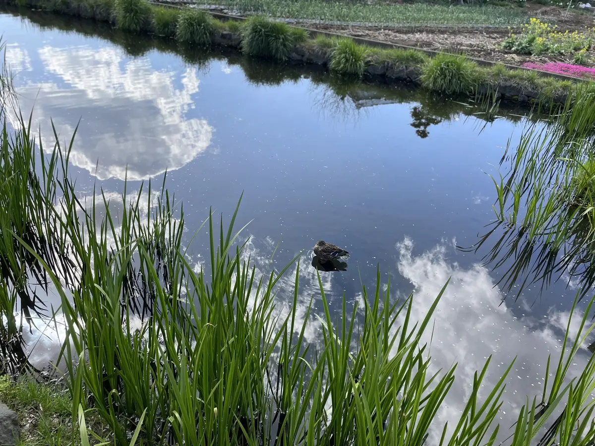 山中湖アラフィー女子旅♡感動の忍野八海編の画像_7
