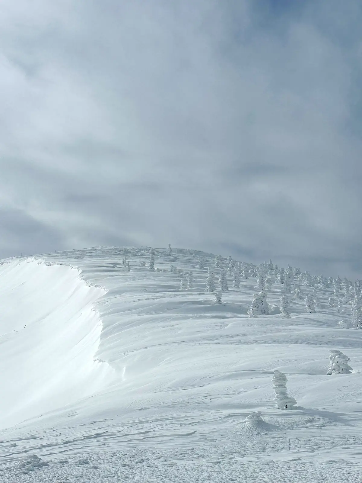 樹氷と美肌の湯を楽しむ♡山形県蔵王への旅の画像_12