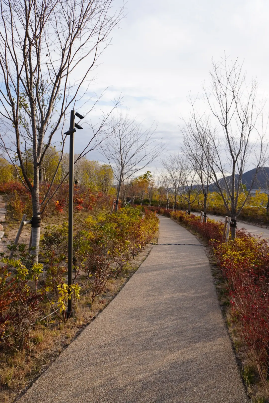 グルッと３６０度美しい!!おススメのインの画像_1