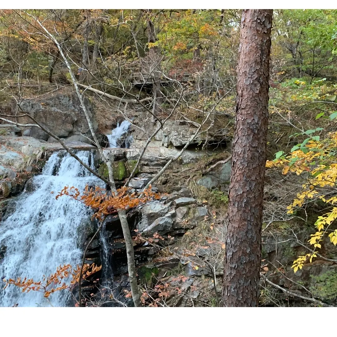 日光の紅葉スポットへの画像_10