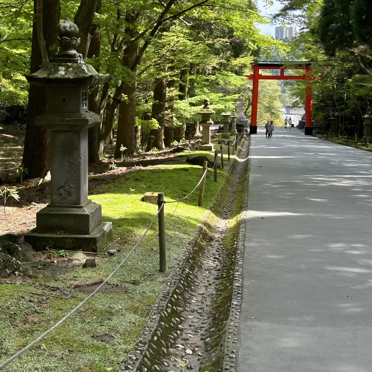霧島温泉で束の間の非日常をの画像_10