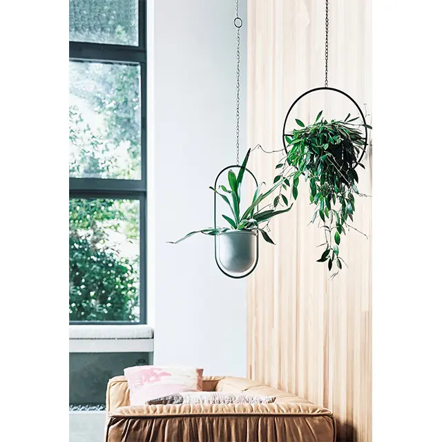 モダンなデザインで、 旬のハンギングを