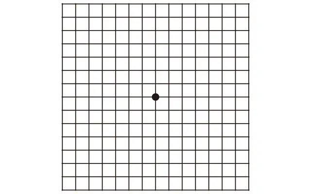 アムスラーチャート