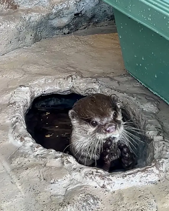 秋の東京おすすめお出かけスポットの画像_3