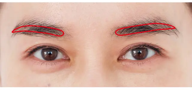 【水口さんの眉設計図】