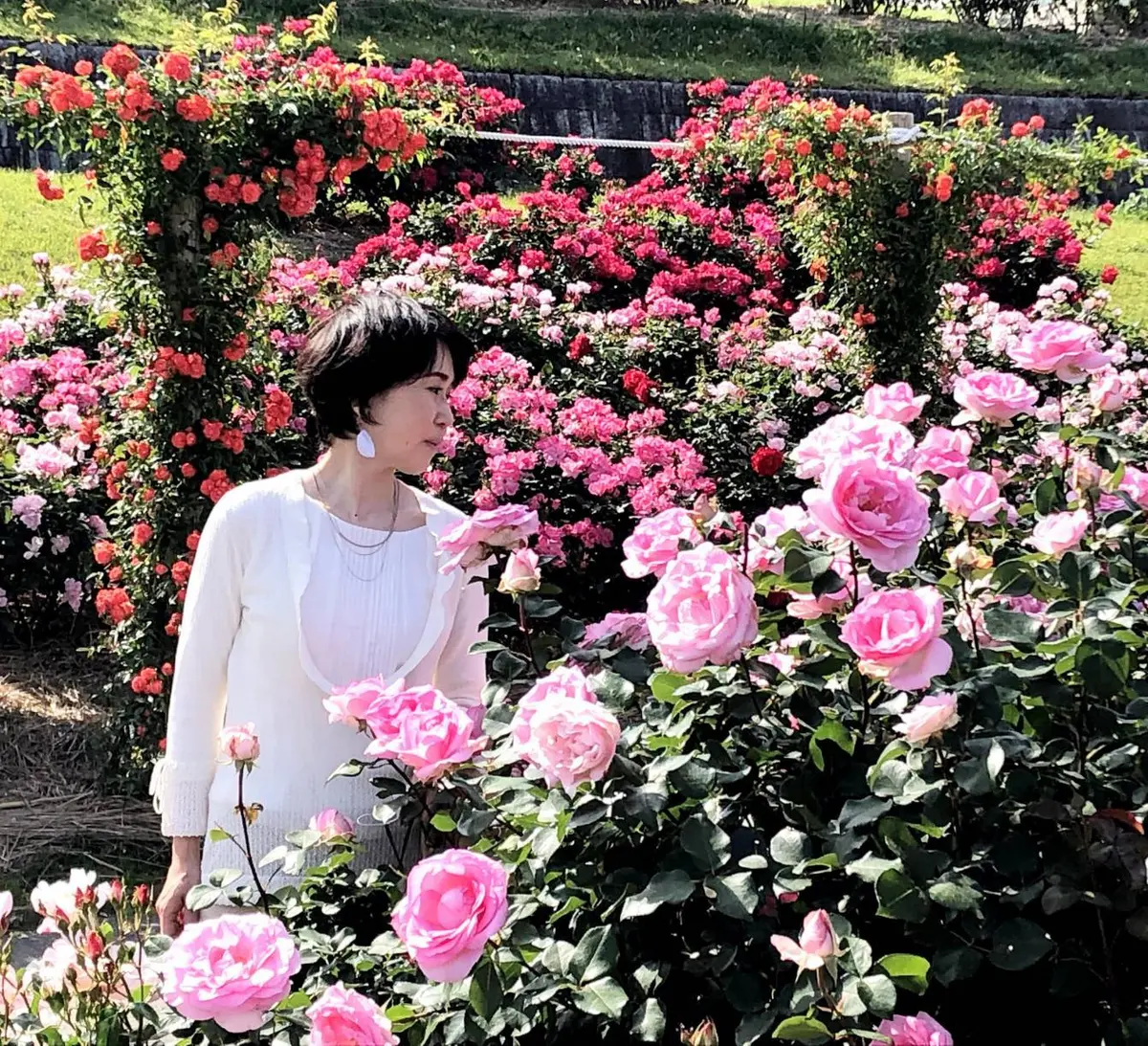 バラの香りに包まれてうっとりです