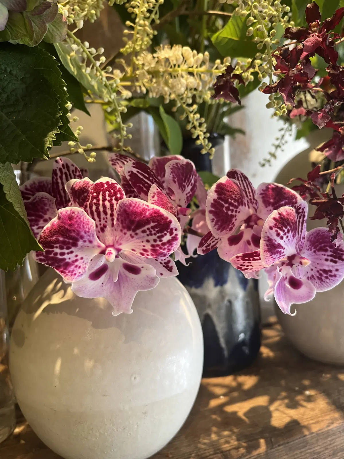 初夏のお花で『花屋で写真館♪』の画像_6