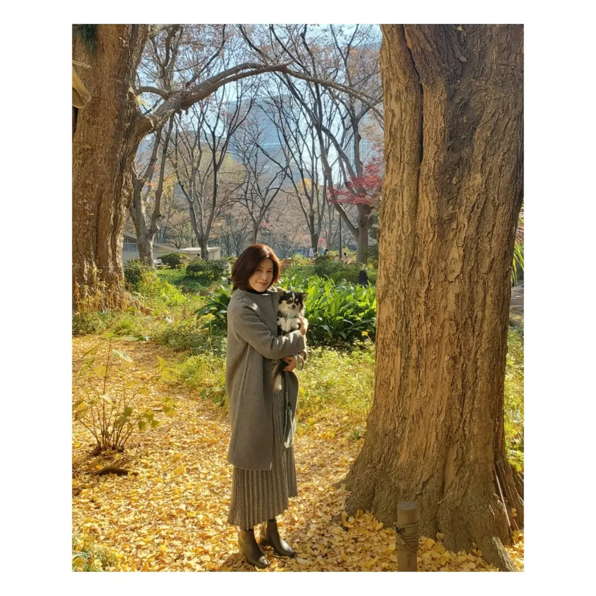 紅葉の日比谷散策♪老舗テラスでランチの画像_13