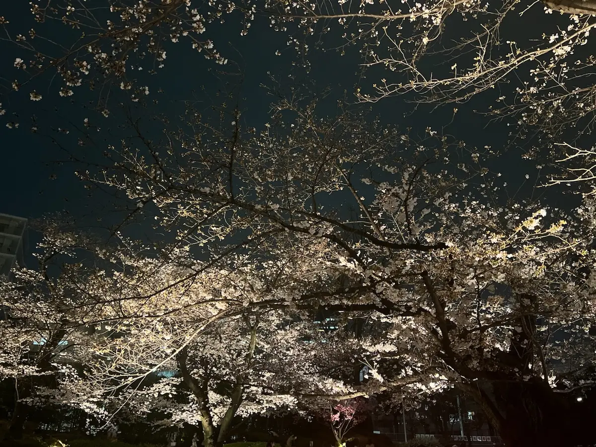 ジャケット2styles☆夜のお出かけの画像_9