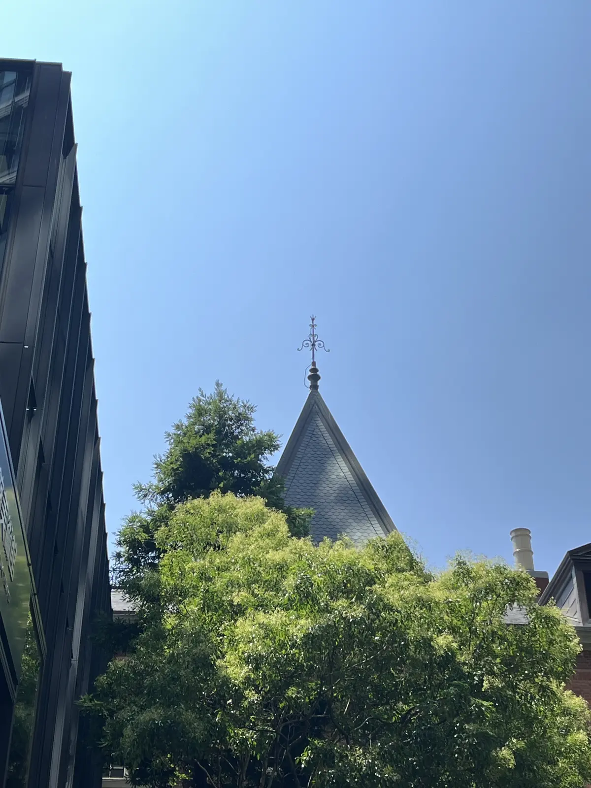 読者の声をカタチに…『優美なセミワイドパの画像_13