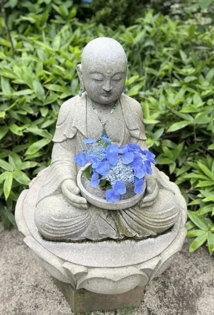 紫陽花☆お蕎麦☆6月の鎌倉さんぽの画像_18