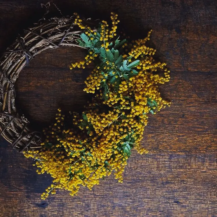 春を感じるミモザリース&ミモザパーティーの画像_1