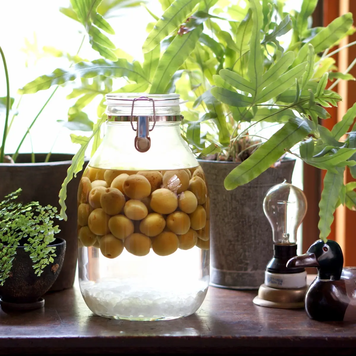 梅仕事の画像_2