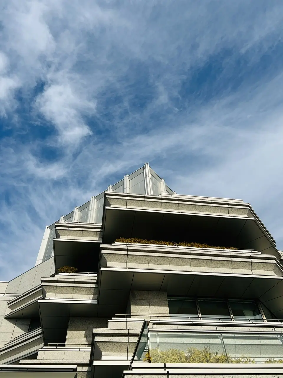 ラウンジテラスから見上げた空