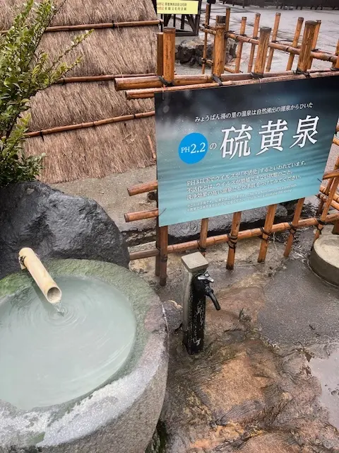 九州へ！結婚記念日旅二泊目その②～温泉県の画像_11