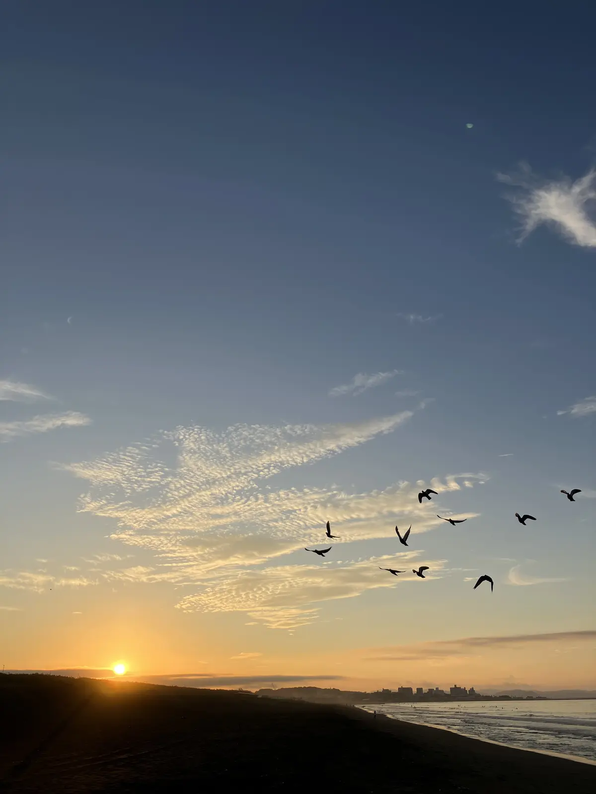 朝活スタートしました♪の画像_12
