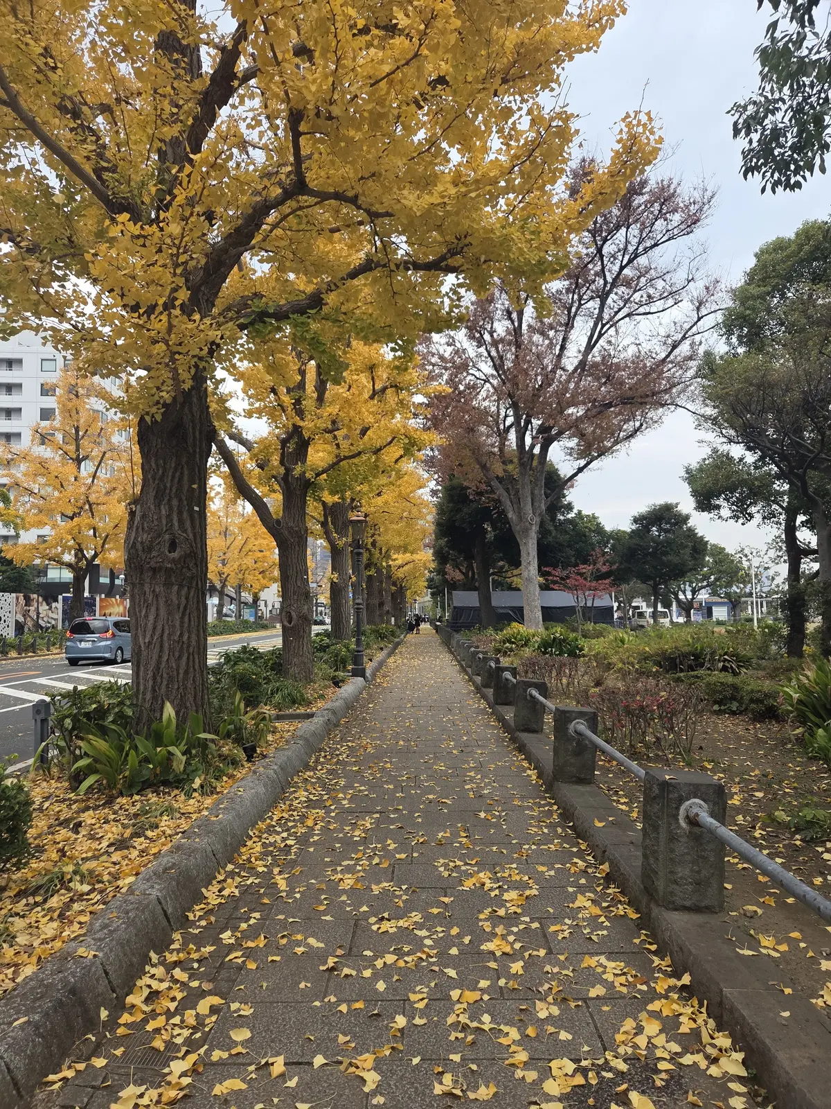 元町〜山下公園へ♡横浜の潮風を感じる散策の画像_9