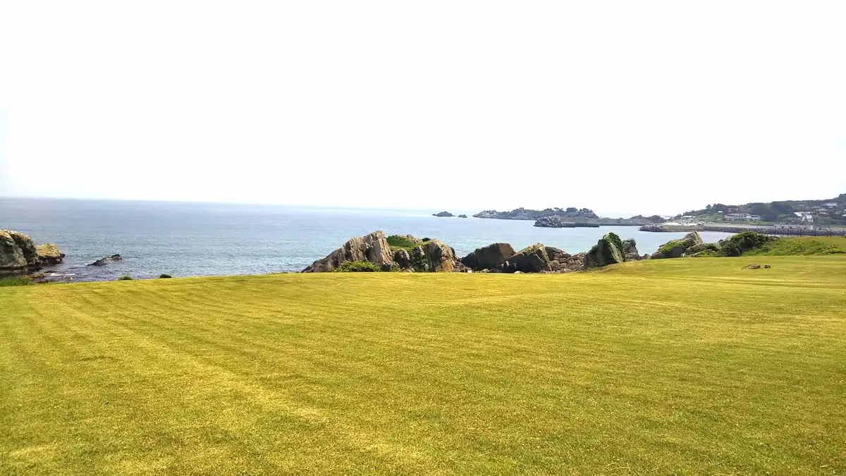 種差天然芝生地