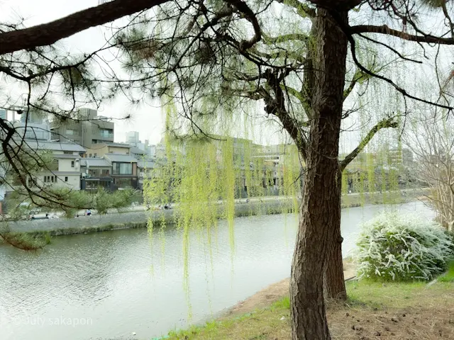 【さかぽんの冒険】後編☆老舗グルメのくいの画像_7