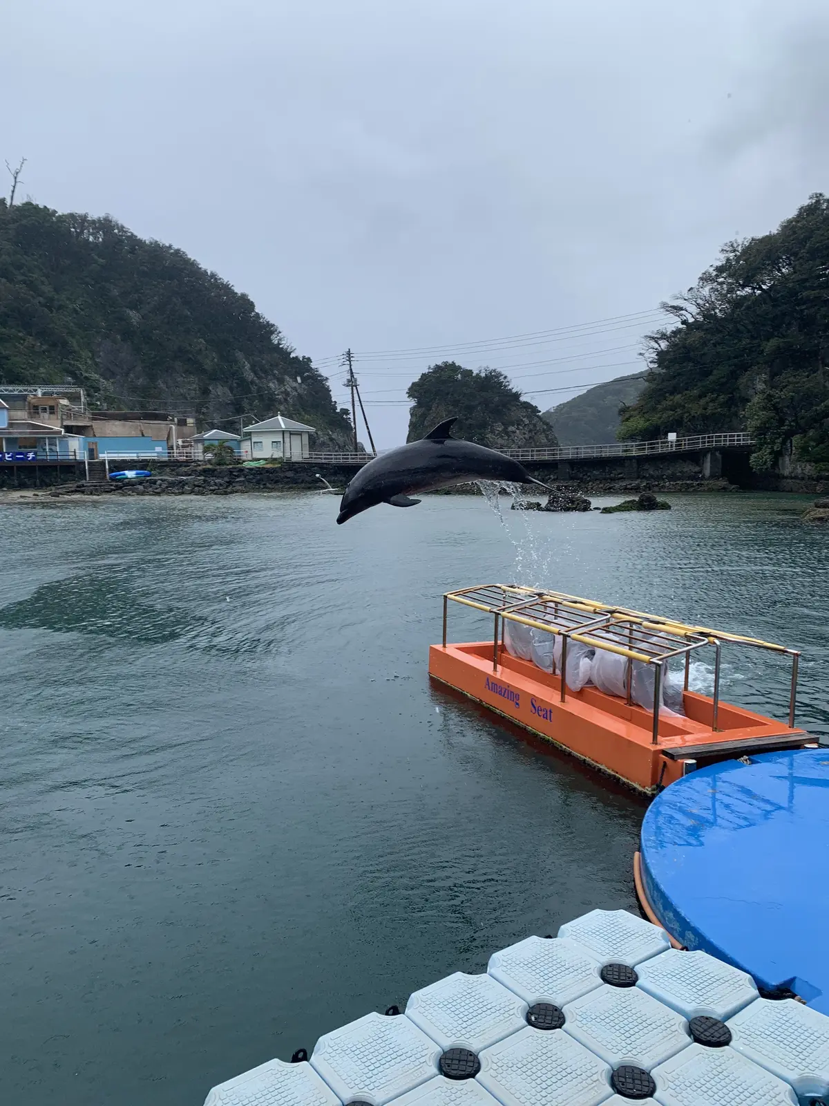 イルカが頭上を飛び越えていく「アメージングシート」