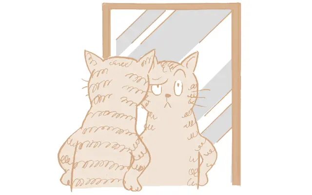 鏡の前で目や眉を動かす