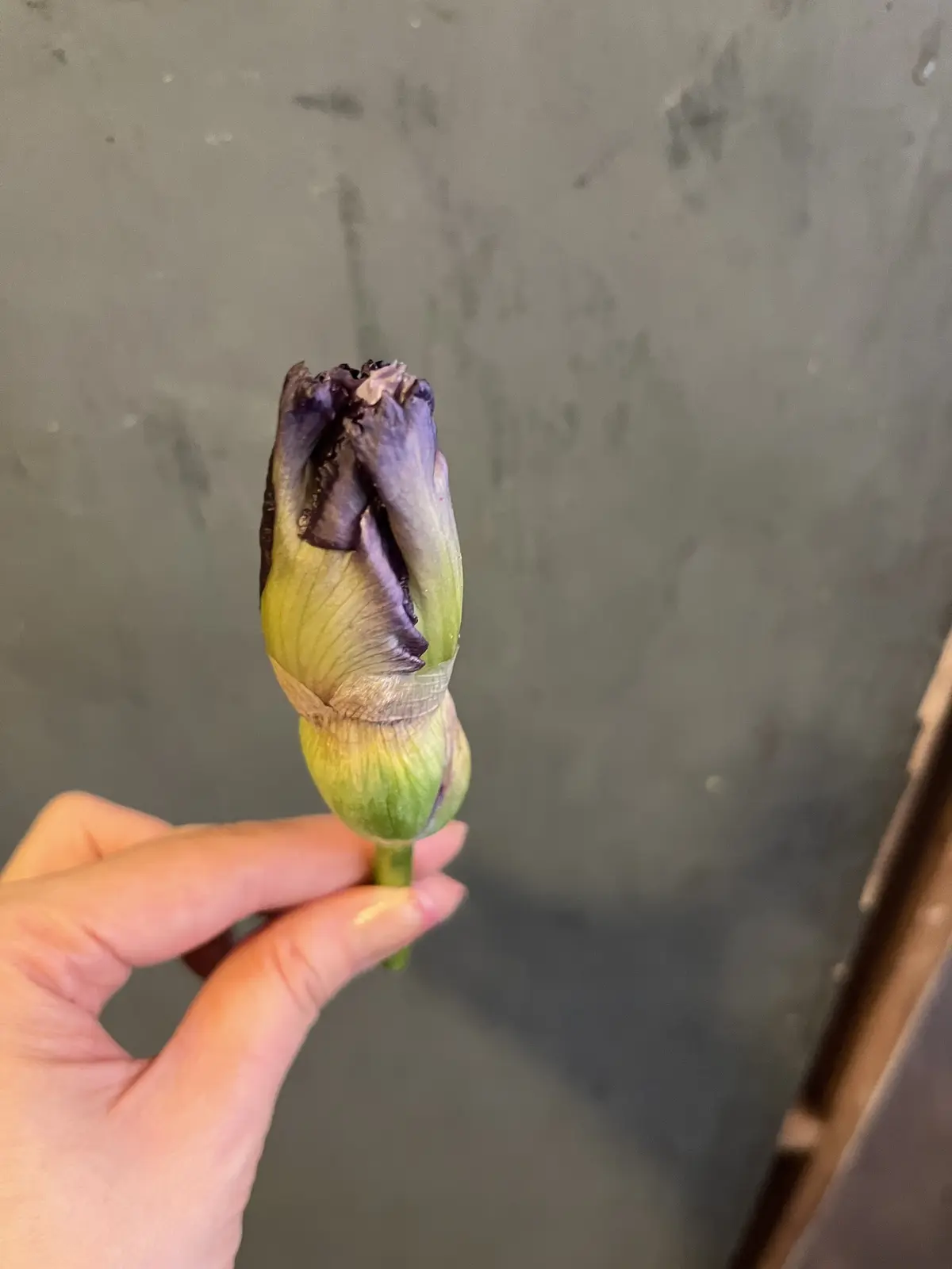 初めて選んだお花でブーケの画像_10