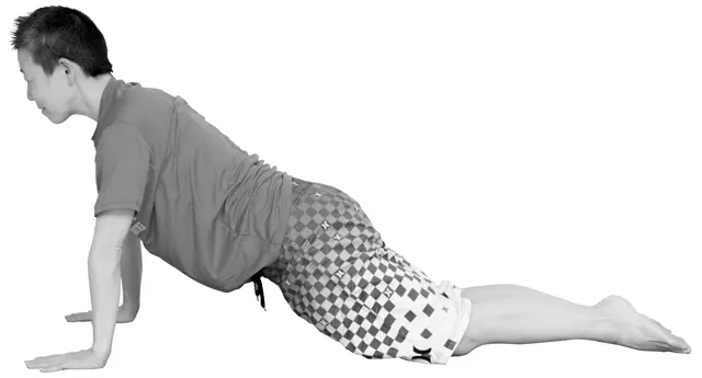 膝つき腕立て伏せに